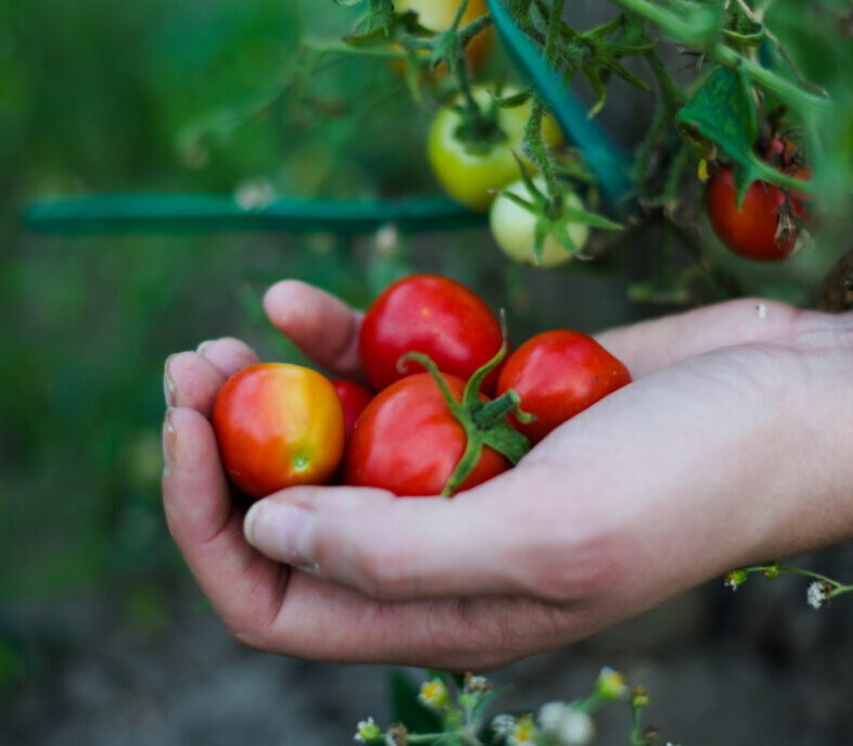 Agriculture