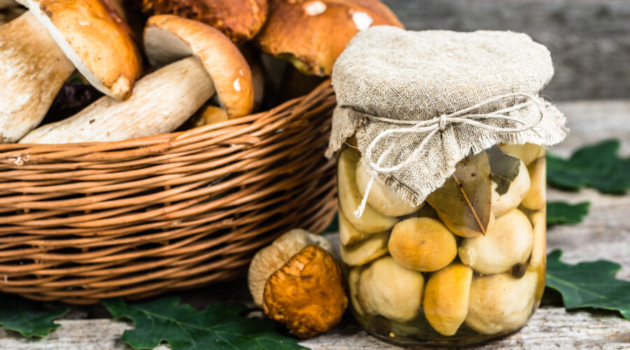 Operator wózka + produkcja – stabilna praca w Holandii!