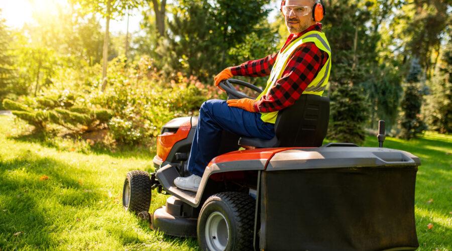 Praca przy sadzeniu i pielęgnacji zieleni publicznej! Holandia!
