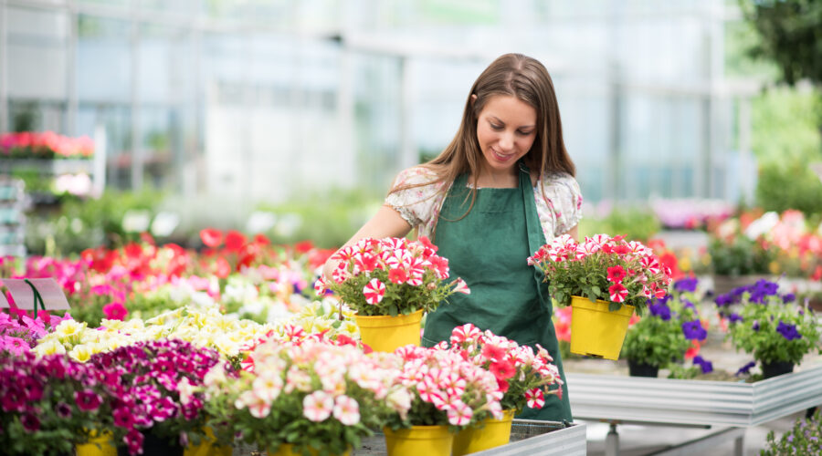 Praca przy sadzeniu roślin
