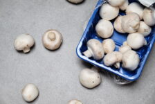 Pakowanie pieczarek – stała praca w Holandii od zaraz!