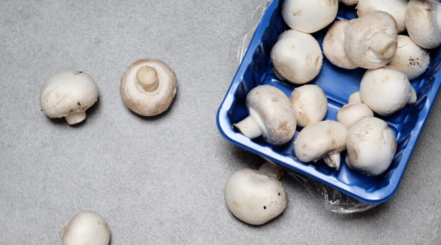 Pakowanie pieczarek – stała praca w Holandii od zaraz!