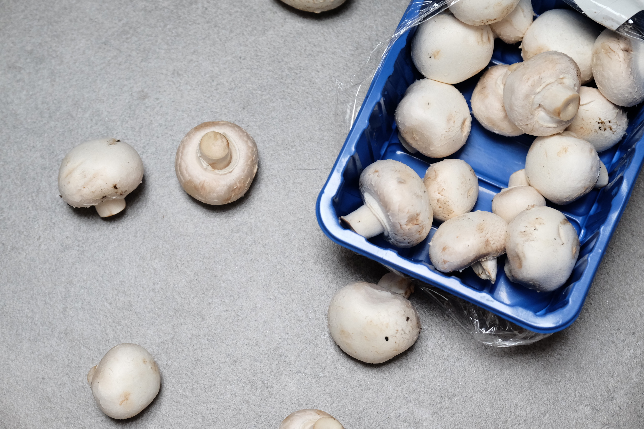 Pakowanie pieczarek – stała praca w Holandii od zaraz!