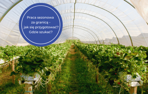 Praca sezonowa za granicą: Gdzie znaleźć oferty i jak przygotować się do sezonu?