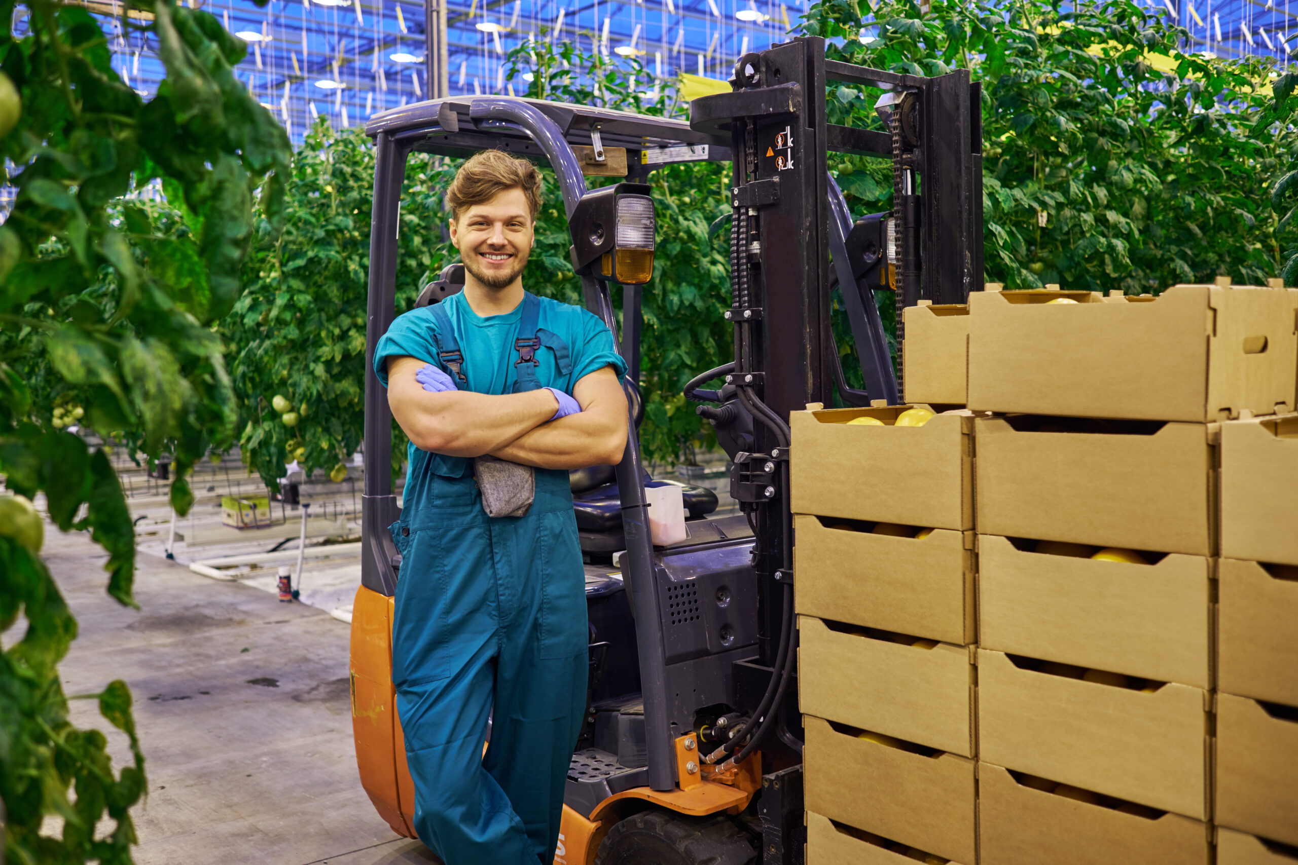 Praca przy kwiatach w Holandii + operator heftruck – od zaraz!