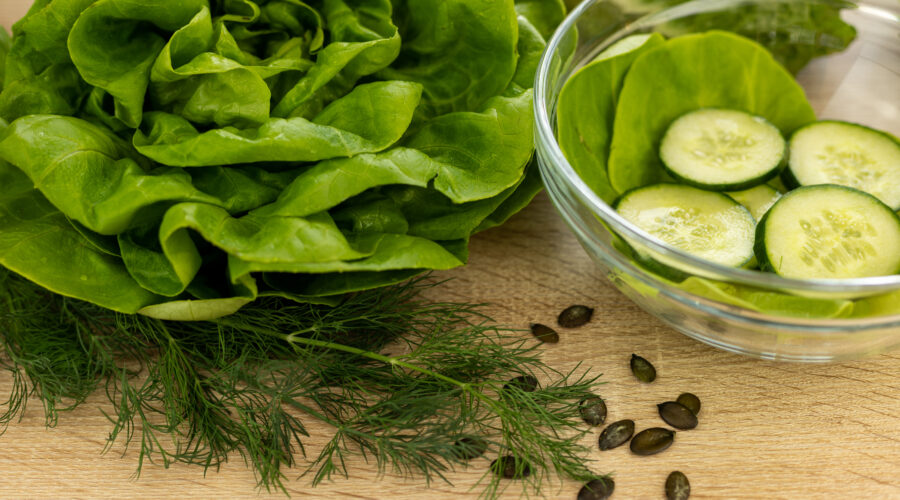 Produkcja sałatek – praca od zaraz, Niemcy i Holandia!