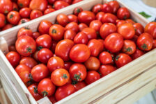 Pracownik transportowo-produkcyjny, Holandia!