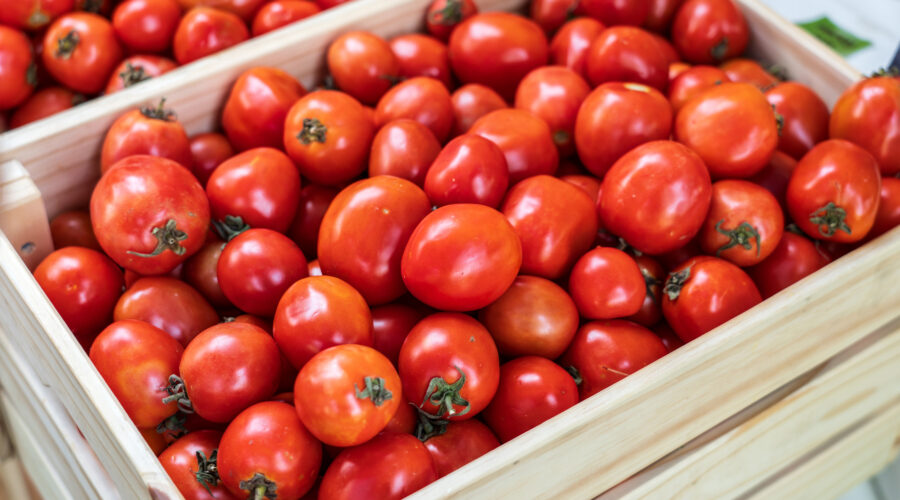 Pracownik transportowo-produkcyjny, Holandia!