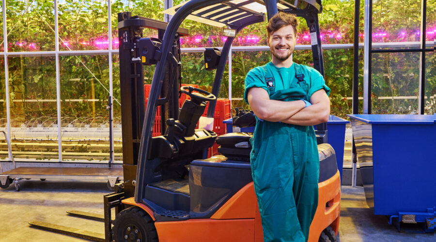 Wskakuj na wózek UDT i leć do Holandii! Praca na magazynie!